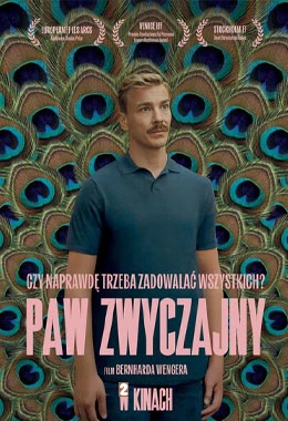 Paw Zwyczajny